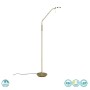 TRIO LIGHTING - Monza Φωτιστικό Δαπέδου LED Οξυντέ ΚΩΔ.-423310108
