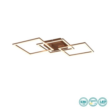 RL Lighting - Trail Φωτιστικό Οροφής LED Καφέ (3000Κ) ΚΩΔ.-R64493165